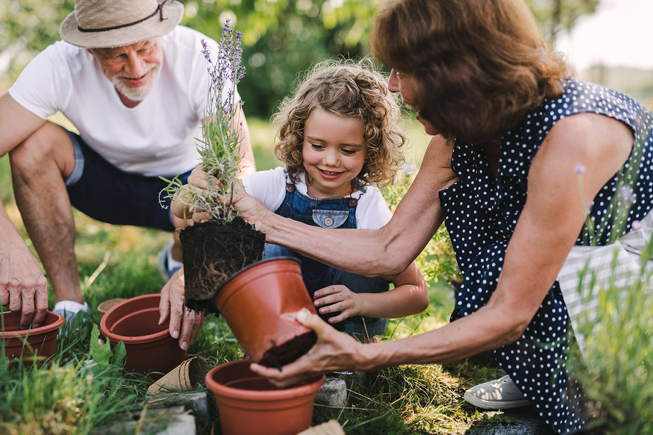 Estate Legacy Planning Services | Walters Strategic Advisors